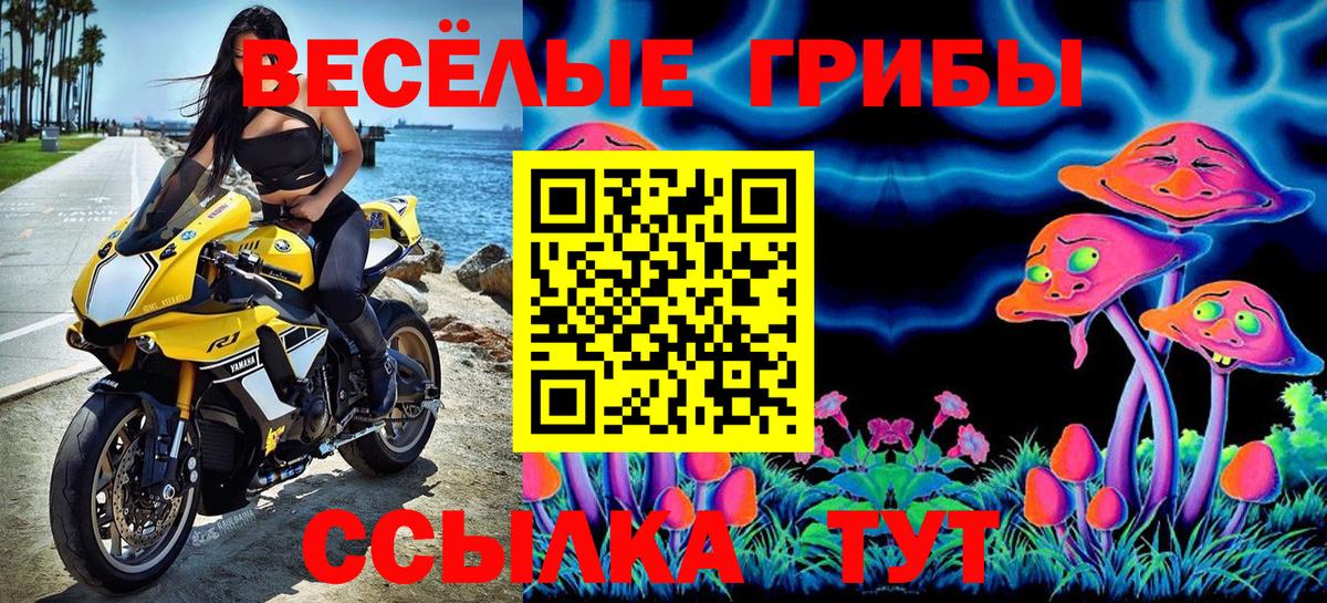 Псилоцибиновые грибы мицелий Тара