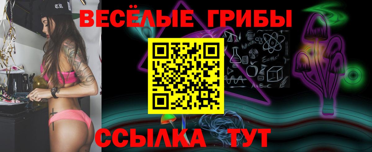 Галлюциногенные грибы Psilocybe  Вход с VPN  Тара  Псилоцибиновые грибы Psilocybine cubensis 